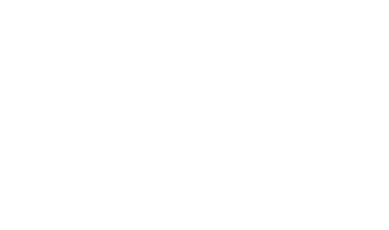 Logo Iphone16series